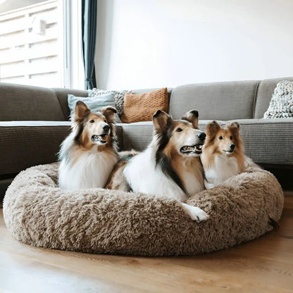 MrMiy-miy™ - World's #1 Anxiety Relieving Dog Bed