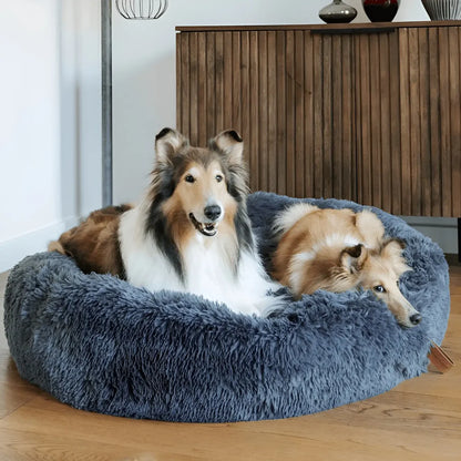 MrMiy-miy™ - World's #1 Anxiety Relieving Dog Bed