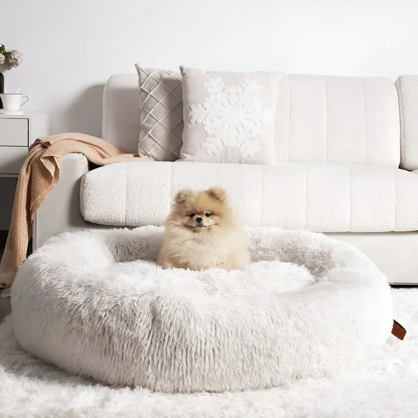 MrMiy-miy™ - World's #1 Anxiety Relieving Dog Bed