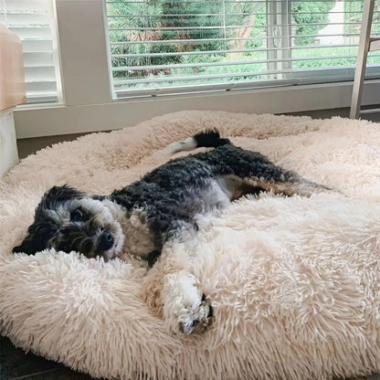 MrMiy-miy™ - World's #1 Anxiety Relieving Dog Bed